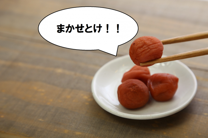 梅にまかせとけ