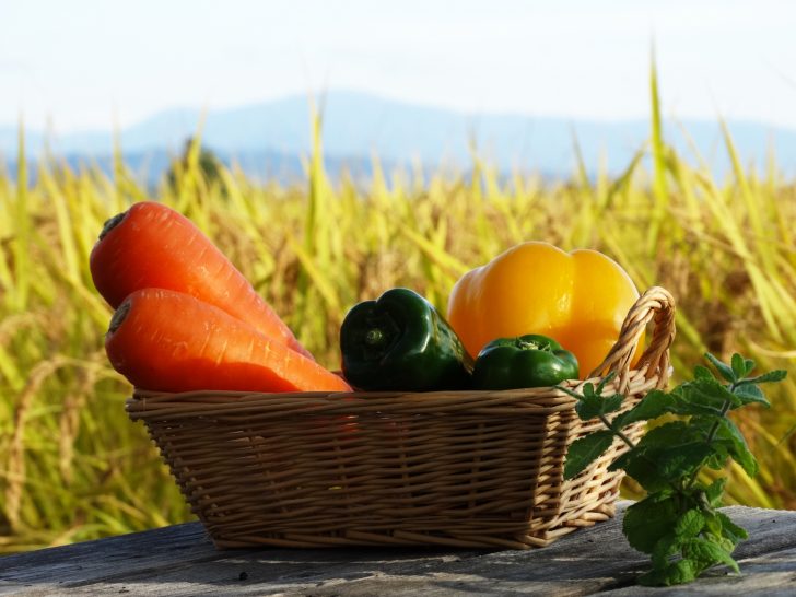 無農薬野菜