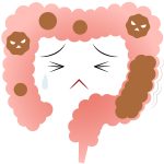 便秘の救世主、食物繊維は・・・実はケイ素(シリカ)だった!